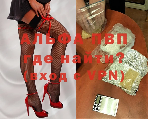 крисы Богородицк