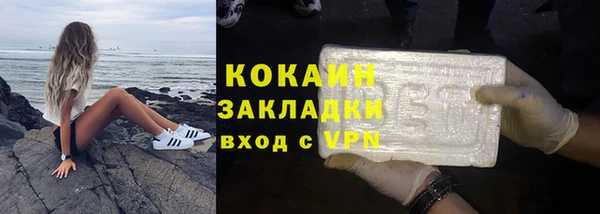 крисы Богородицк