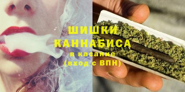 крисы Богородицк