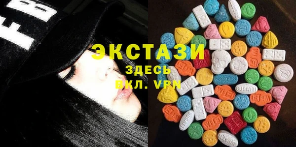 крисы Богородицк