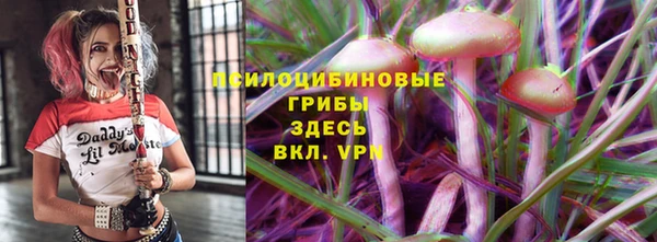 мдма Богданович