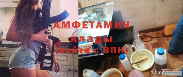 крисы Богородицк