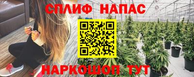 jwh Пыть-Ях